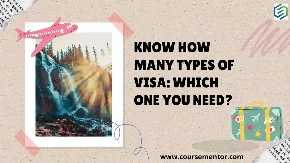 How Many Types of Visa