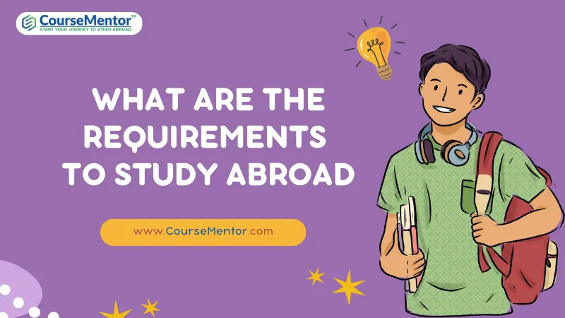 What Are The Requirements To Study Abroad In 2023?