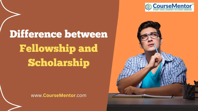 Difference between Fellowship and Scholarship