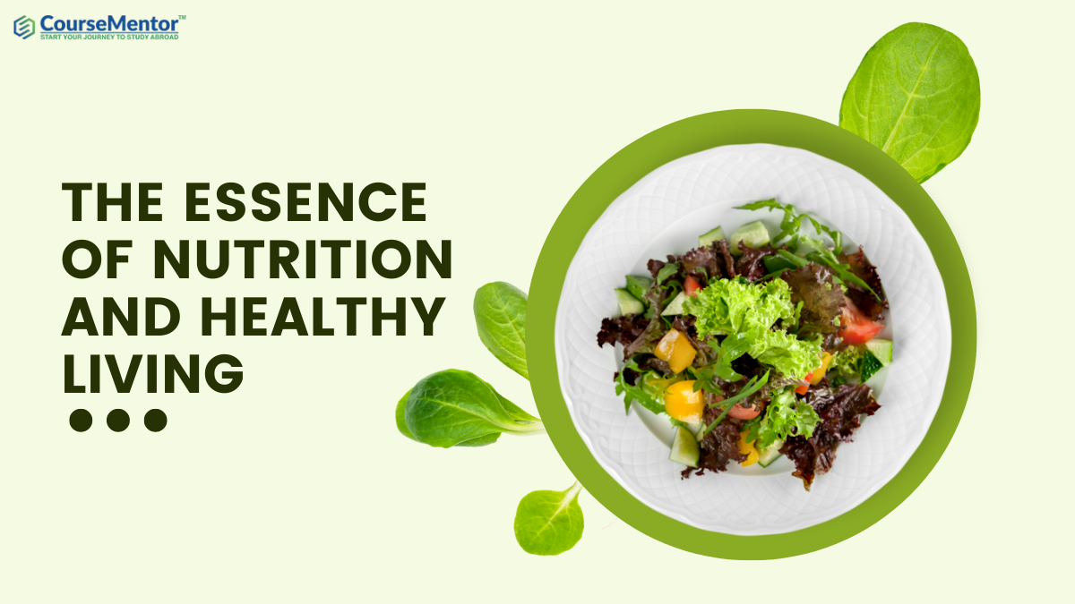 Essence of Nutrition