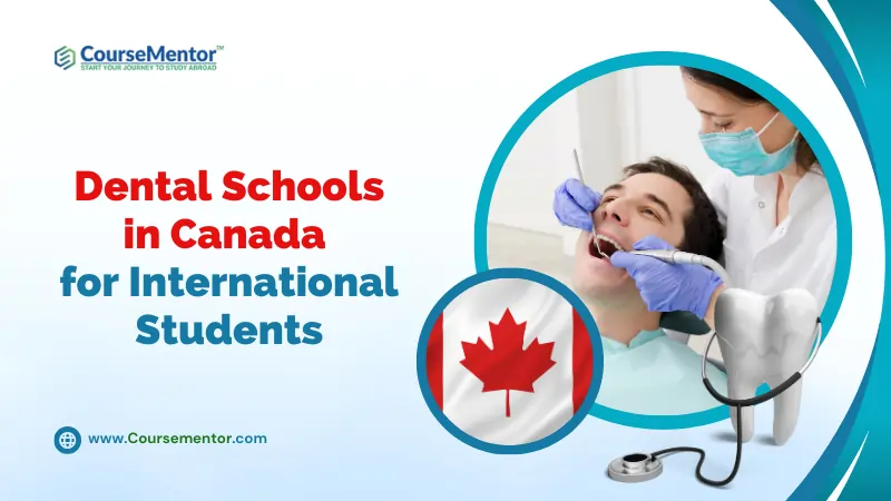 10 Best Dental Schools In Canada For International Students   Dental Schools In Canada.webp