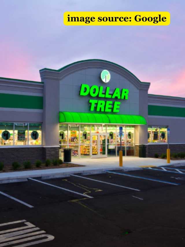 10 Best New Items at Dollar Tree in March 2024