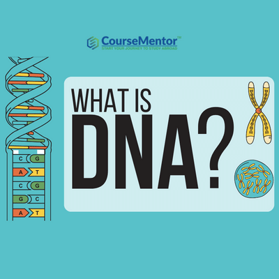 dna research project ideas