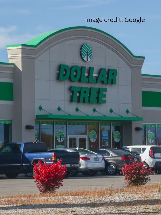 Dollar Tree: 7 Best New Arrivals in February