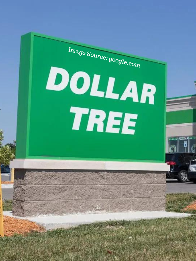 10 New Dollar Tree Items Starting At $7