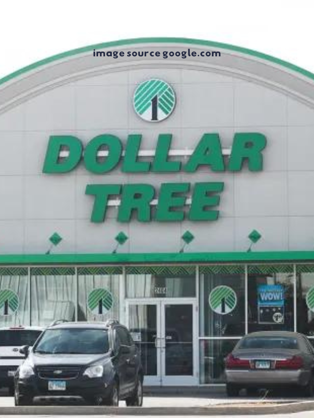 10 Single Best Thing To Buy at Dollar Tree in April 2024