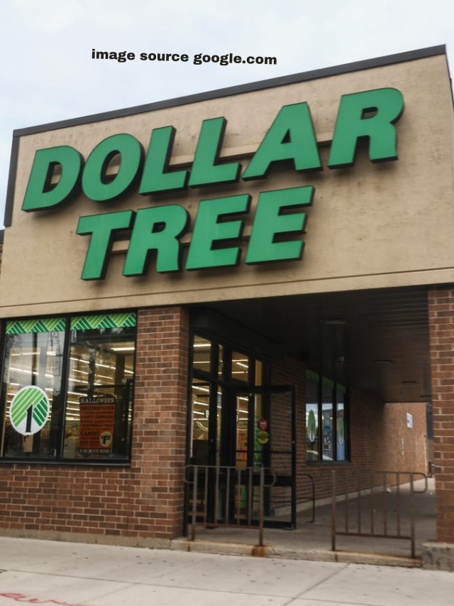 10 Spring-inspired items you should be buying at Dollar Tree