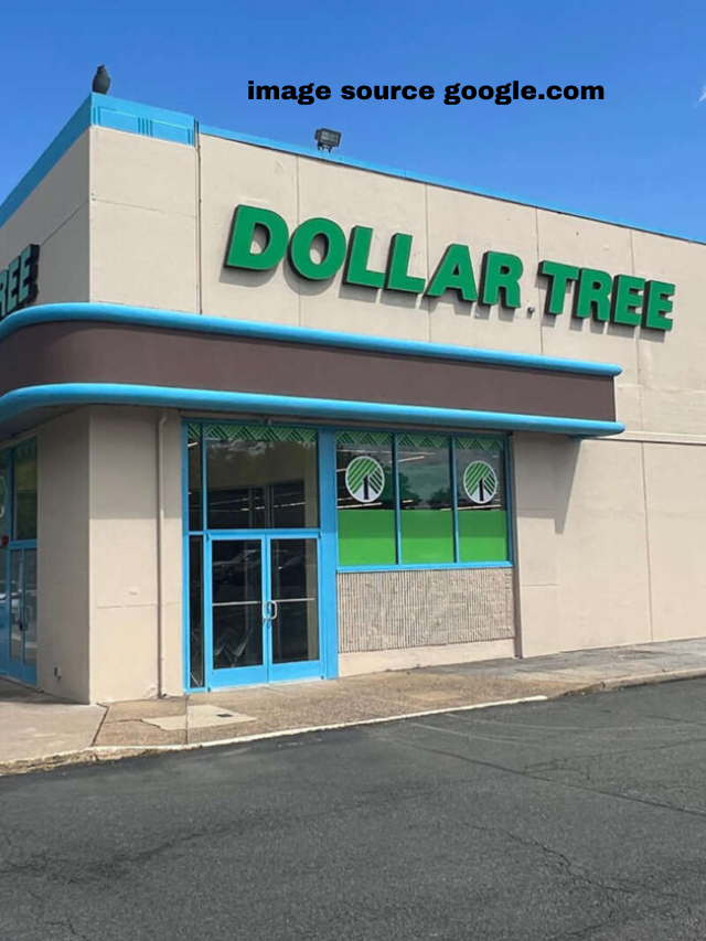 11 Must-Have Spring Essentials At Dollar Tree