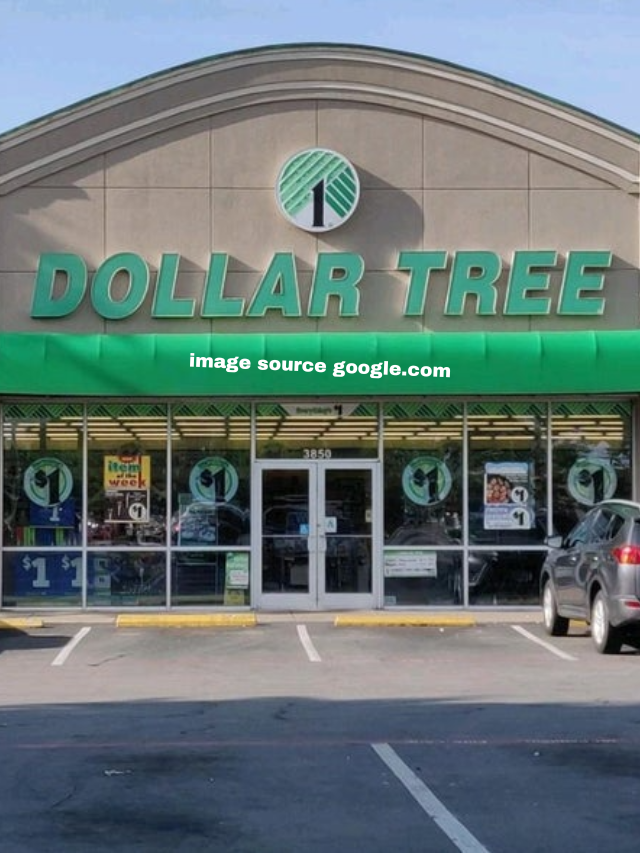 7 Best Expensive-Looking Things You Can Buy at Dollar Tree