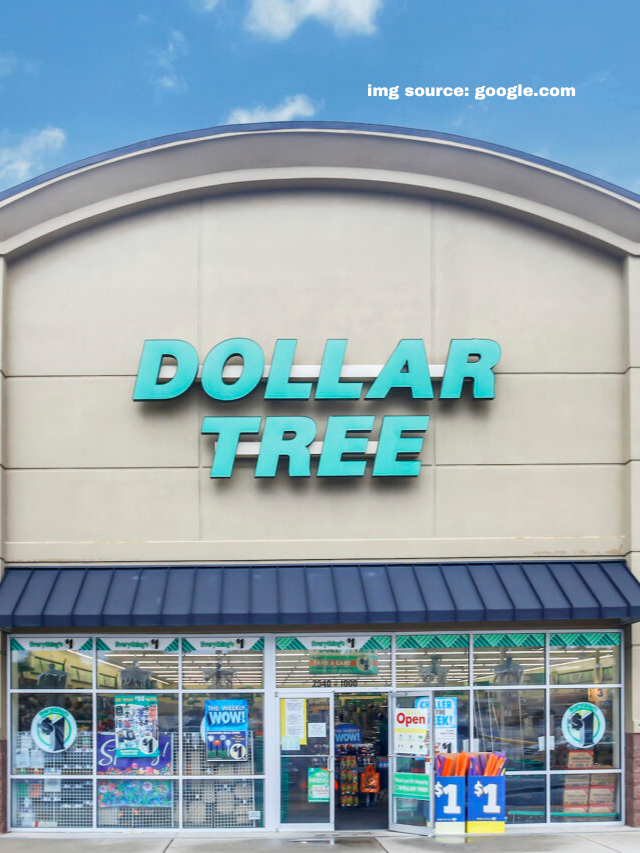 7 Best Home Items To Buy at Dollar Tree in April