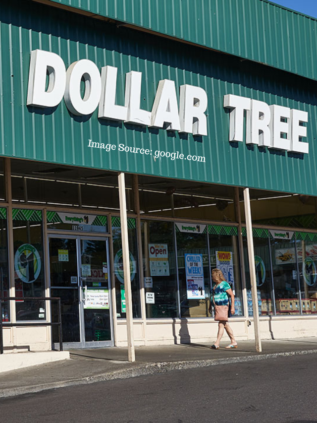 7 Groceries Frugal People Buy In The Summer At Dollar Tree