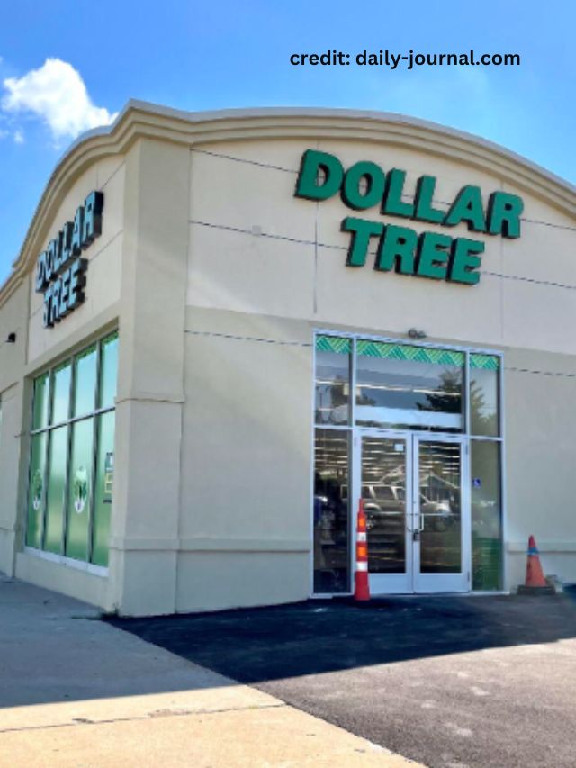 8 Things Designers Always Buy from Dollar Tree