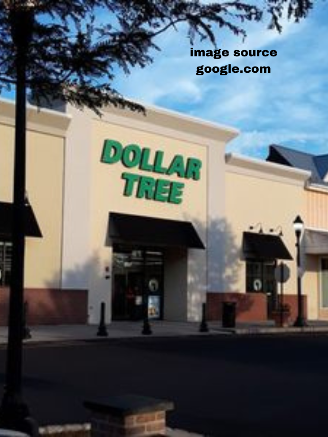 9 Best Things to Buy at Dollar Tree This Spring