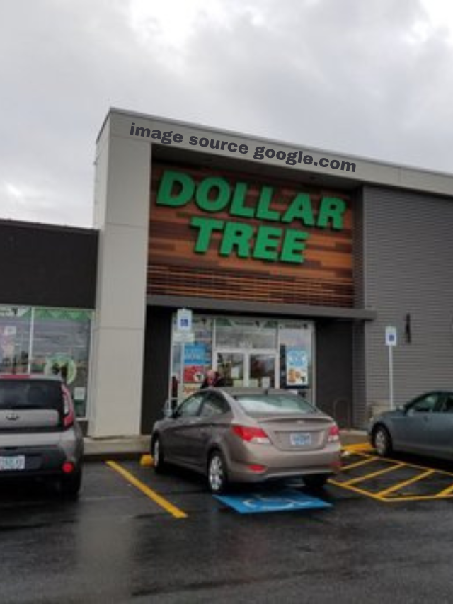 Dollar Tree: 10 Best New Arrivals in March