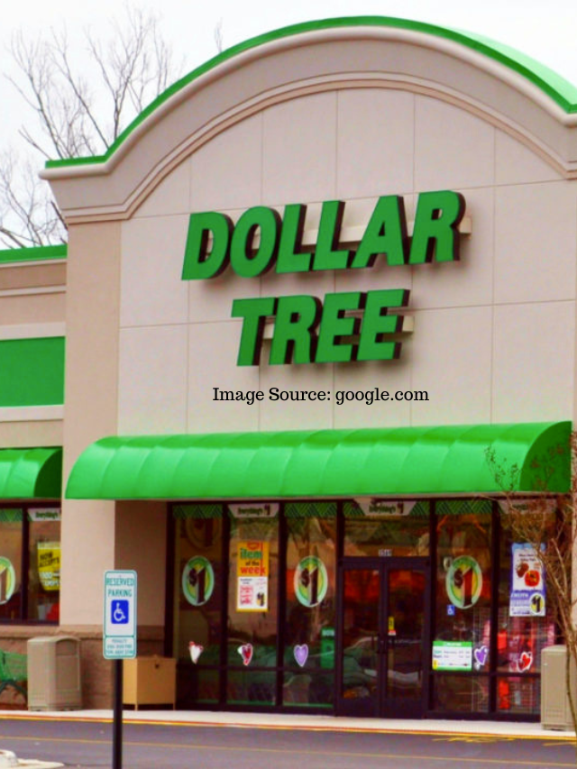 Dollar Tree: 5 Best Items To Buy In March 2024