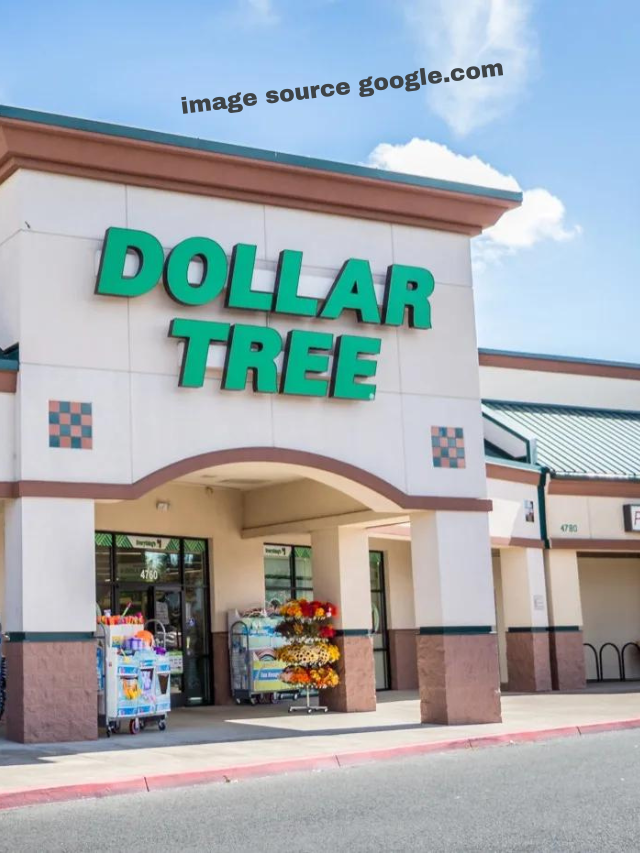 Dollar Tree: 5 Best Items To Buy in March 2024