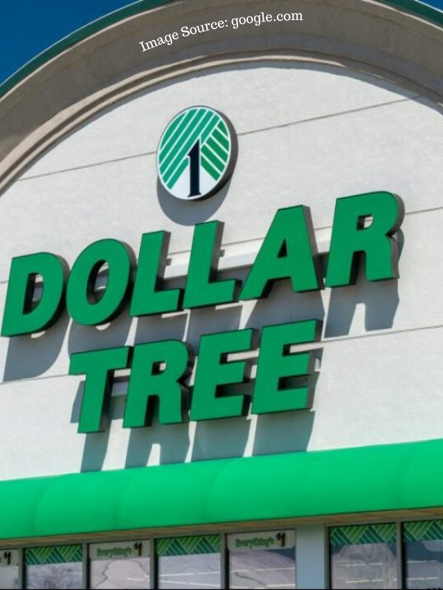 Dollar Tree: 5 Best Items To Buy in April 2024