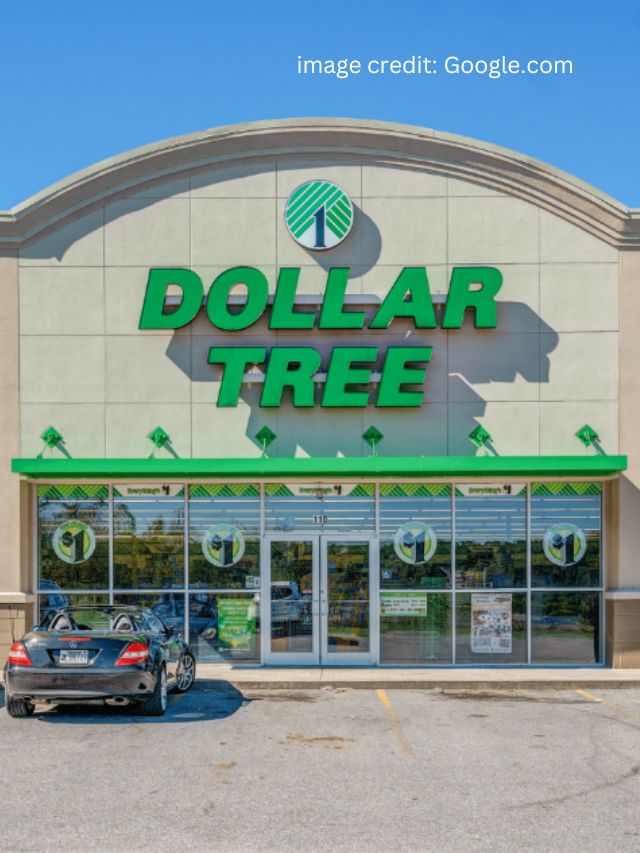 The $1 “Beautiful” Dollar Tree Storage Find Shoppers Are Buying 5 at a Time