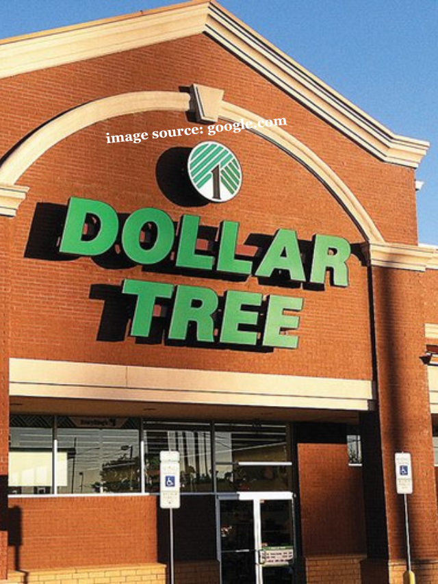 10 Best Affordable Items Coming to Dollar Tree in 2024