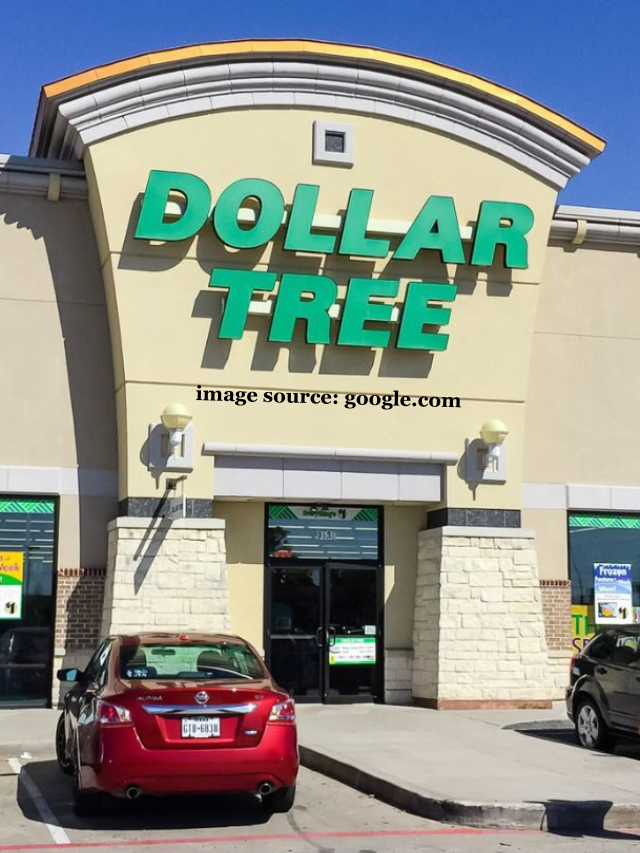 10 Best Cleaning Supplies From the Dollar Tree