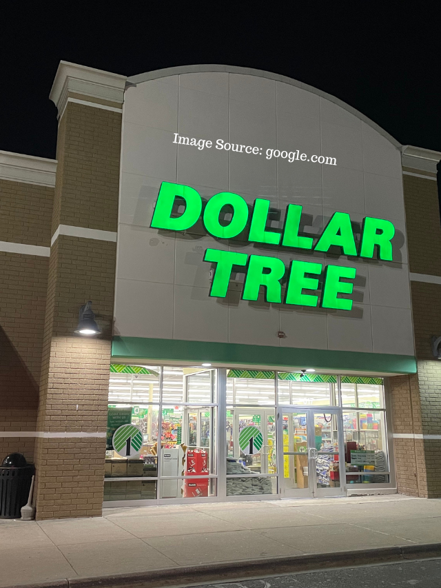 7 Cheap Dollar Tree Summer Items To Buy Early This Year