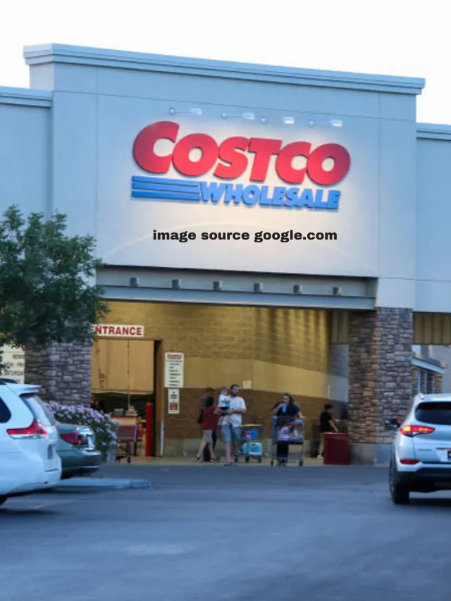 7 Top-Quality Appliances At Costco You Must Have in Your Home