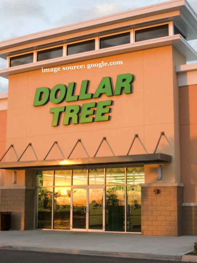 9 Items Worth Buying at Dollar Tree on a Middle-Class Budget