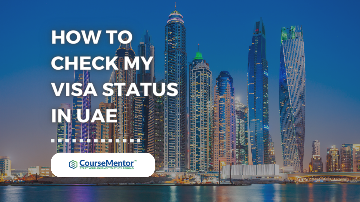 How To Check My Visa Status In UAE