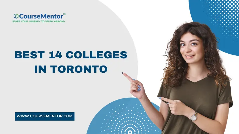 Colleges In Toronto