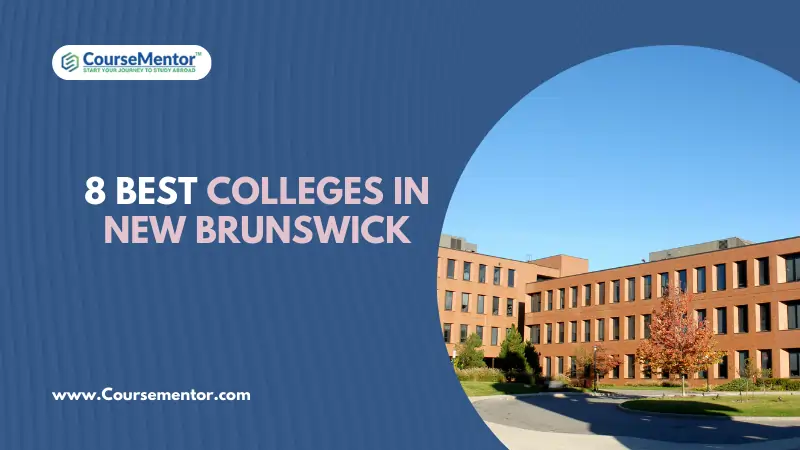 Best Colleges In New Brunswick