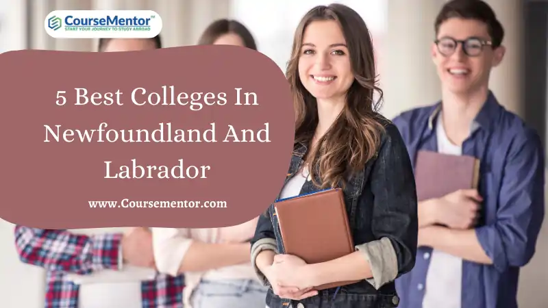 Colleges In Newfoundland And Labrador