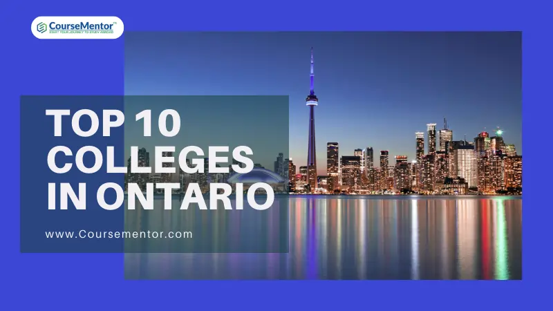 top 10 colleges in ontario