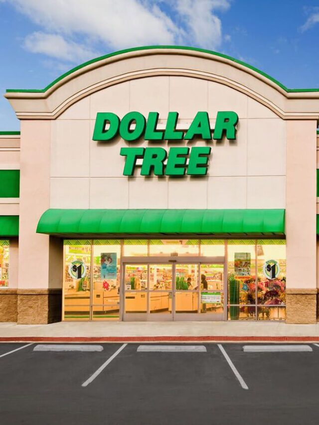 8 Items What To Buy At Dollar Tree On Your Next Trip