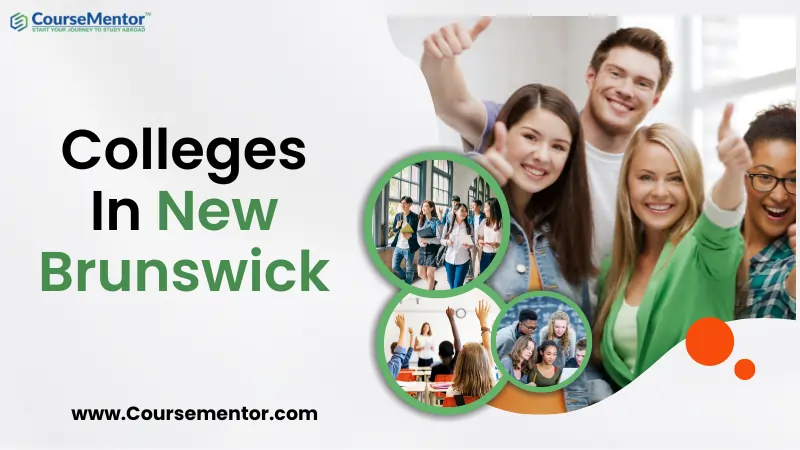 Colleges In New Brunswick