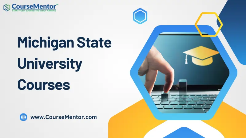 Michigan State University Courses